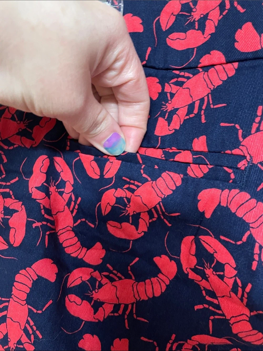 J. Crew size 4 Blue and Red Lobster Print Chino 5” Inseam Shorts with Pockets - Picture 7 of 9